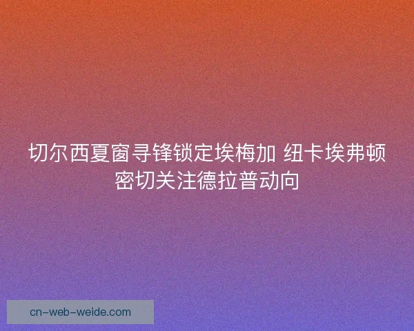 切尔西夏窗寻锋锁定埃梅加 纽卡埃弗顿密切关注德拉普动向